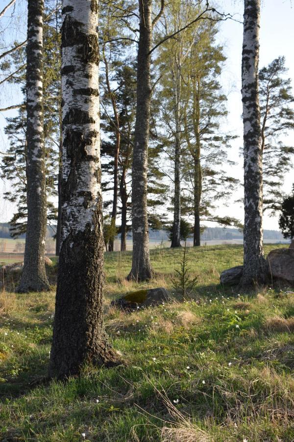 Skogsbacka Raseborg